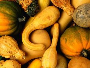 怎樣挑選南瓜?南瓜的挑選方法