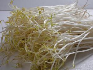 如何挑選優(yōu)質豆芽?豆芽的挑選方法