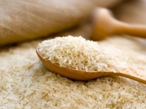 大米生蟲怎么辦?如何能有效防止大米生蟲子