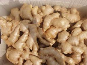 夏季如何保存生姜？夏季保存生姜的小竅門