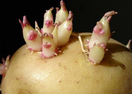 ������ô��Ų��˰lѿ�������lѿ����ô�k