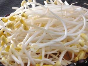 如何識別化學(xué)豆芽？化學(xué)豆芽怎么鑒別