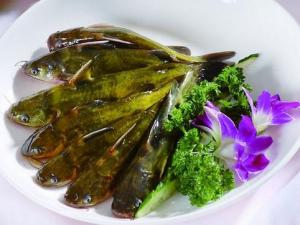 如何選購野生黃辣丁？選購野生黃辣丁的小技巧