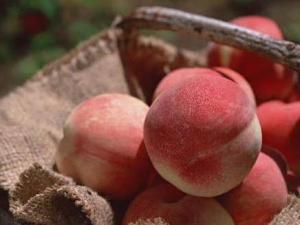 什么樣的桃子好吃?怎樣挑選新鮮的桃子