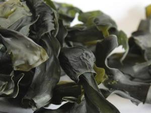 干海帶能存放多久?干海帶能長期存放嗎