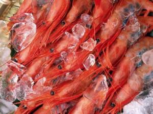 如何選購冷凍食品?食品冷凍別超過兩個月