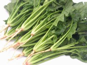 如何挑選新鮮菠菜?新鮮菠菜的挑選方法