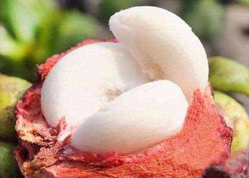 山竹如何剝皮?圖解剝山竹的方法和竅門 山竹怎么挑選和保存保鮮