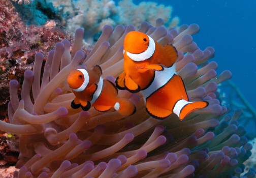 С���~��ô�B��С���~��Ҋ��������ί���