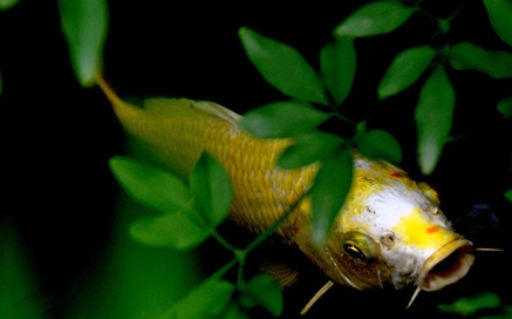 一樓房子潮濕怎么解決?