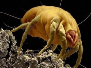 �����Ч�����x(ch��ng)��ȥ�����x(ch��ng)����Ч�ķ�������