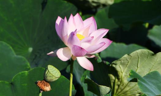 �����ǎ��µ����� 2021��ȫ���ߜ��a�N���Ďׂ���