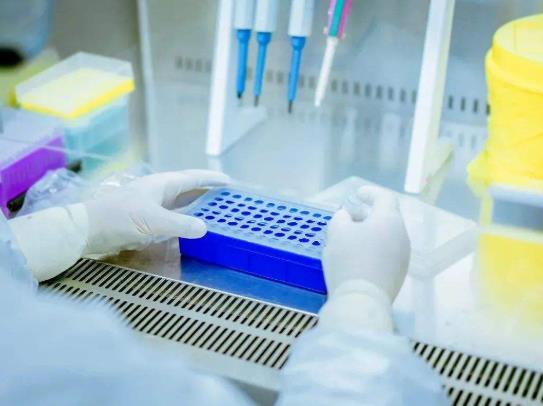 2022春運(yùn)核酸檢測(cè)需要預(yù)約嗎?2022春運(yùn)核酸檢測(cè)什么時(shí)候開(kāi)始