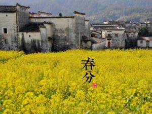 春分是什么時候?二十四節氣之春分的由來與含義