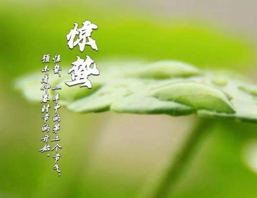 驚蟄前幾點上墳好?驚蟄上墳是上午去還是下午去