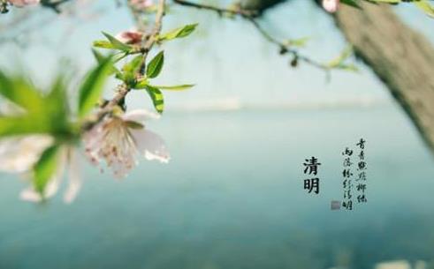 清明燒紙要注意什么?清明節上墳買花買幾朵好