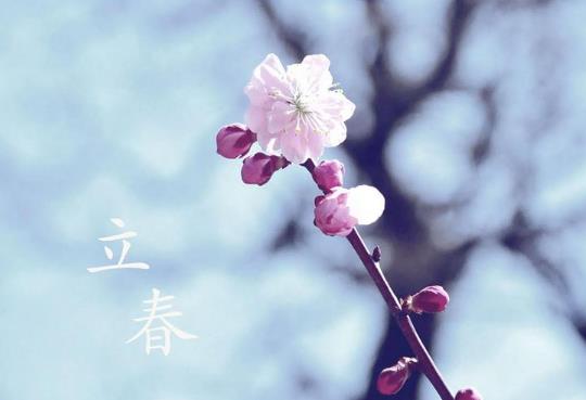 去婆婆家躲春必須住婆婆家嗎?屬豬的人2022臉躲春必須要睡覺(jué)嗎?