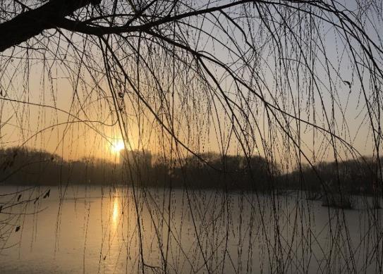 躲春一定要在自己家嗎?和孩子躲春可以都在家躲嗎?