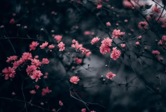 大人和孩子躲春要躲多久?2022年立春躲春要躲多長時間?