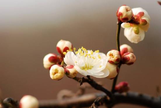 躲春一定要在自己家嗎?和孩子躲春可以都在家躲嗎?