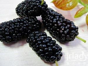 �����ܳ�ɣ�؆���������ɣ����ʲô��̎