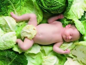 寶寶怎么補礦物質?含礦物質的蔬菜和水果