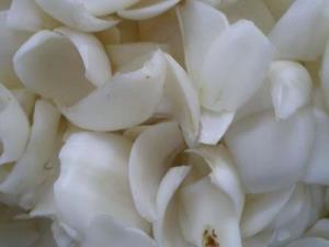 孕婦能吃百合嗎？孕婦吃百合有什么好處