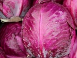 孕婦能吃紫甘藍嗎？孕婦吃紫甘藍的做法