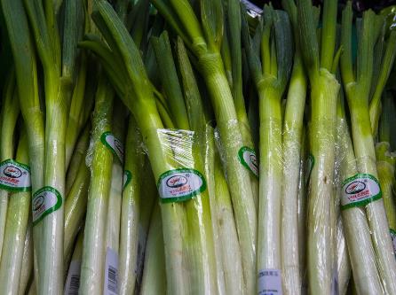 �ЋD�ܳ��[�᣿�ЋD���[��ʲô��̎