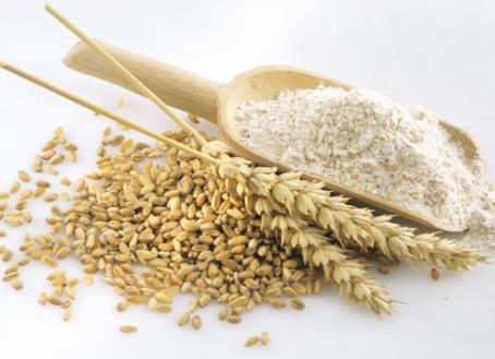 �ЋD�������ʲô��̎���ЋD����۵�ʳ�ý���