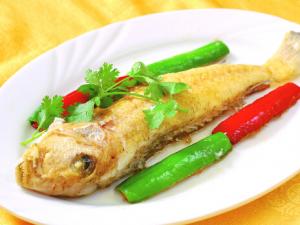 馬頭魚的食用禁忌-食用馬頭魚的注意事項(xiàng)