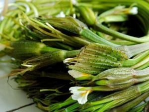 常吃海菜碘會過量嗎?海菜的功效