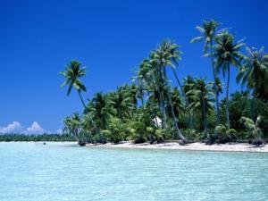 夏天別吃這些食物,小心會(huì)體臭!