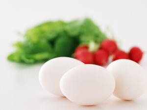 吃雞蛋需警惕-吃雞蛋的常見誤區