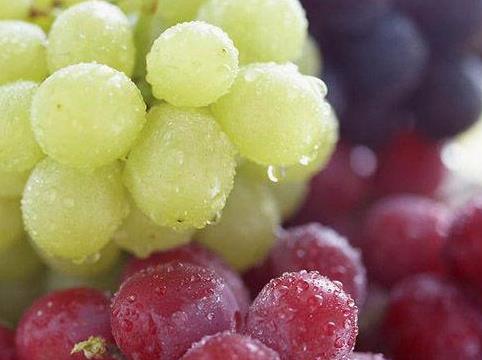 ������x���ѣ������ѵ�ע�����(xi��ng)