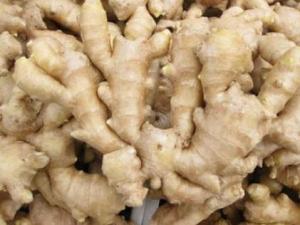 如何挑選生姜？生姜的食用禁忌