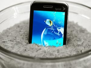 手機進水怎么辦?手機進水屏幕失靈怎么辦?