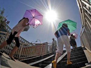 秋老虎是什么意思?秋老虎是什么時候