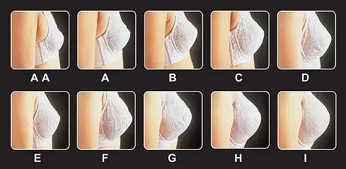 罩杯是什么意思?罩杯abcdefg怎么分大小圖片?胸罩罩杯尺寸對照表