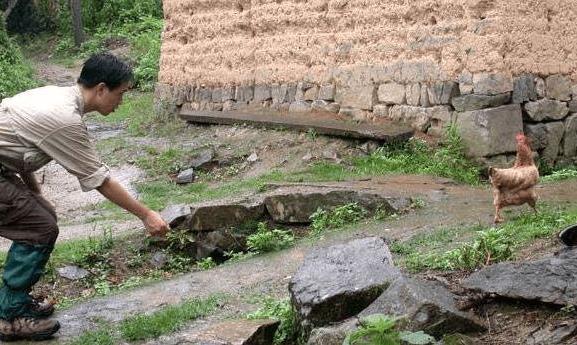 傳說中的“UC震驚部”是什么意思什么梗 歡迎你明天到UC震驚部上班