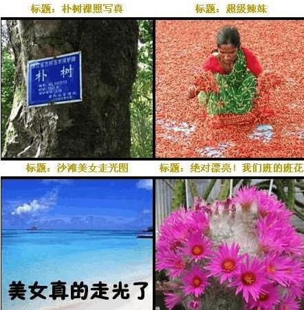 傳說中的“UC震驚部”是什么意思什么梗 歡迎你明天到UC震驚部上班