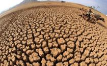 6月17日是什么節日？世界防治荒漠化和干旱日