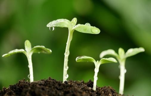 9月10日是什么節日？世界預防自殺日是幾月幾日