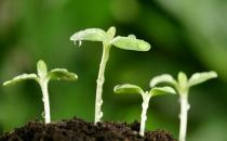 9月10日是什么節日？世界預防自殺日是幾月幾日