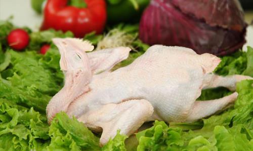 如何鑒別鮮雞和冰鮮雞?怎么挑選鮮雞