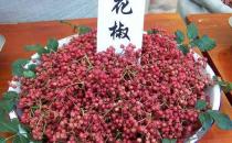 如何識別有毒花椒？毒花椒的鑒別方法