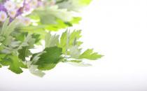 你知道嗎？艾草有美容養顏的功效