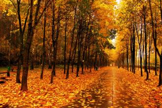 “多事之秋”,起居有學問,降溫有竅門