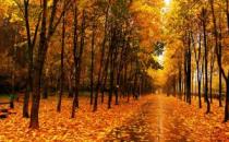 “多事之秋”，起居有學問，降溫有竅門