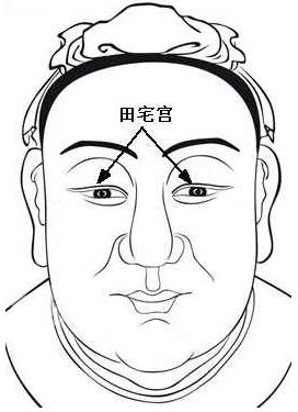 面相算命圖解：面相十二宮圖之田宅宮